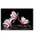 Xxl Wandbild Magnolien Zen Steine Querformat Produktvorschau Frontal