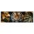 Xxl Wandbild Majestaetischer Tiger Im Dschungel Panorama Produktvorschau Frontal