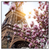 Xxl Wandbild Mangnolien In Paris Quadrat Produktvorschau Frontal
