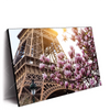 Xxl Wandbild Mangnolien In Paris Querformat Produktvorschau Seitlich