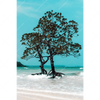 Xxl Wandbild Mangrovenbaum Im Wasser Hochformat Motivvorschau