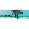 Xxl Wandbild Mangrovenbaum Im Wasser Panorama Motivvorschau
