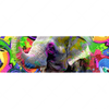 Xxl Wandbild Moderner Bunter Elefant No 2 Panorama Motivvorschau