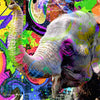 Xxl Wandbild Moderner Bunter Elefant No 2 Quadrat Motivvorschau
