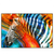 Xxl Wandbild Modernes Buntes Zebra Querformat Produktvorschau Frontal