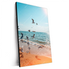 Xxl Wandbild Moewen Am Strand Hochformat Produktvorschau Seitlich