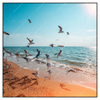 Xxl Wandbild Moewen Am Strand Quadrat Produktvorschau Frontal