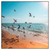 Xxl Wandbild Moewen Am Strand Quadrat Produktvorschau Frontal