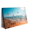 Xxl Wandbild Moewen Am Strand Querformat Produktvorschau Seitlich