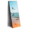 Xxl Wandbild Moewen Am Strand Schmal Produktvorschau Seitlich
