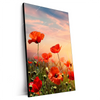 Xxl Wandbild Mohnblumenfeld Bei Sonnenuntergang Hochformat Produktvorschau Seitlich