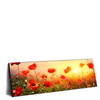 Xxl Wandbild Mohnblumenfeld Bei Sonnenuntergang Panorama Produktvorschau Seitlich