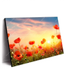 Xxl Wandbild Mohnblumenfeld Bei Sonnenuntergang Querformat Produktvorschau Seitlich