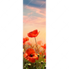 Xxl Wandbild Mohnblumenfeld Bei Sonnenuntergang Schmal Motivvorschau