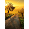 Xxl Wandbild Morgenspaziergang Hochformat Motivvorschau