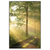 Xxl Wandbild Morgenspaziergang Im Nebeligem Wald Hochformat Produktvorschau Frontal