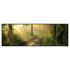 Xxl Wandbild Morgenspaziergang Im Nebeligem Wald Panorama Produktvorschau Frontal