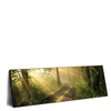 Xxl Wandbild Morgenspaziergang Im Nebeligem Wald Panorama Produktvorschau Seitlich