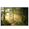 Xxl Wandbild Morgenspaziergang Im Nebeligem Wald Querformat Produktvorschau Frontal