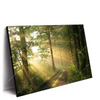 Xxl Wandbild Morgenspaziergang Im Nebeligem Wald Querformat Produktvorschau Seitlich