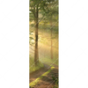 Xxl Wandbild Morgenspaziergang Im Nebeligem Wald Schmal Motivvorschau