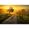 Xxl Wandbild Morgenspaziergang Querformat Motivvorschau