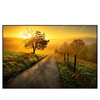 Xxl Wandbild Morgenspaziergang Querformat Produktvorschau Frontal