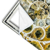 Xxl Wandbild Muschel Fossil No 1 Quadrat Materialvorschau