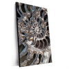 Xxl Wandbild Muschel Fossil No 3 Hochformat Produktvorschau Seitlich