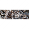 Xxl Wandbild Muschel Fossil No 3 Panorama Motivvorschau