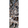 Xxl Wandbild Muschel Fossil No 3 Schmal Motivvorschau