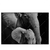 Xxl Wandbild Mutter Baby Elefant Querformat Produktvorschau Frontal