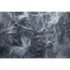 Xxl Wandbild Mystischer Hirsch Im Nebel Querformat Motivvorschau