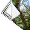 Xxl Wandbild Mystischer Wald Hochformat Materialvorschau