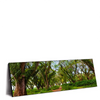 Xxl Wandbild Mystischer Wald Panorama Produktvorschau Seitlich