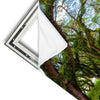 Xxl Wandbild Mystischer Wald Quadrat Materialvorschau