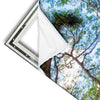 Xxl Wandbild Mystischer Wald Schmal Materialvorschau