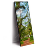 Xxl Wandbild Mystischer Wald Schmal Produktvorschau Seitlich