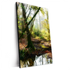 Xxl Wandbild Natuerlicher Wald Hochformat Produktvorschau Seitlich