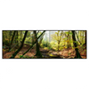 Xxl Wandbild Natuerlicher Wald Panorama Produktvorschau Frontal