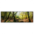 Xxl Wandbild Natuerlicher Wald Panorama Produktvorschau Frontal