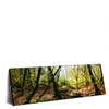Xxl Wandbild Natuerlicher Wald Panorama Produktvorschau Seitlich