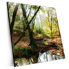 Xxl Wandbild Natuerlicher Wald Quadrat Produktvorschau Seitlich