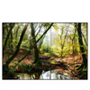 Xxl Wandbild Natuerlicher Wald Querformat Produktvorschau Frontal