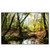 Xxl Wandbild Natuerlicher Wald Querformat Produktvorschau Frontal