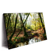 Xxl Wandbild Natuerlicher Wald Querformat Produktvorschau Seitlich
