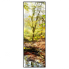 Xxl Wandbild Natuerlicher Wald Schmal Produktvorschau Frontal