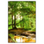 Xxl Wandbild Natur Pur Der Wald Hochformat Produktvorschau Frontal