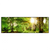 Xxl Wandbild Natur Pur Der Wald Panorama Produktvorschau Frontal