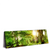 Xxl Wandbild Natur Pur Der Wald Panorama Produktvorschau Seitlich